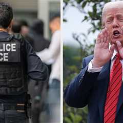 One Of Trump's Biggest Celebrity Fans Just Signed Up To Be An ICE Officer