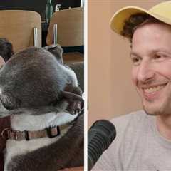 Seth Meyers Has Responded To All Of The News Reports About His Beloved Dog Frisbee’s Death Being..