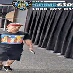 Ohio man busted for slinging sex toy on court at NY Liberty game, charged with two counts of assault
