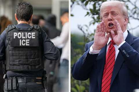 One Of Trump's Biggest Celebrity Fans Just Signed Up To Be An ICE Officer