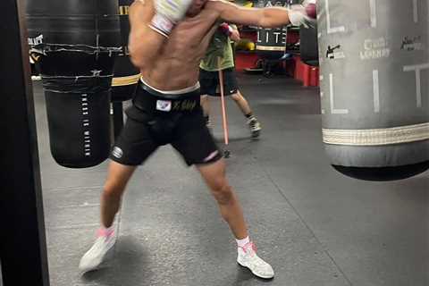 Japanese boxer, 28, dies of brain injury just days after title fight