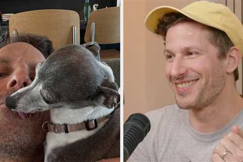 Seth Meyers Has Responded To All Of The News Reports About His Beloved Dog Frisbee’s Death Being..