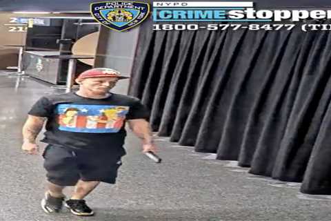 Ohio man busted for slinging sex toy on court at NY Liberty game, charged with two counts of assault