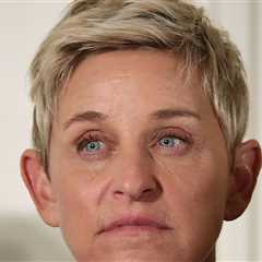 Ellen DeGeneres Accused of Running Stop Sign, T-Boning Driver in New Lawsuit