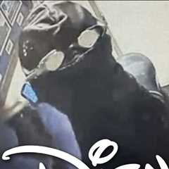 Scuba Diver Robs Disney Springs Restaurant, Jumps Into Pond to Escape
