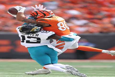 Dave Portnoy explodes over ‘disgusting’ call that decided Jaguars-Bengals game