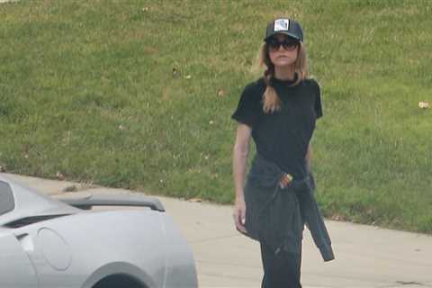 Denise Richards Moves Dogs and Furniture Out of Rental House Amid Divorce