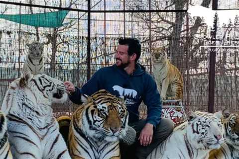 'Tiger King' Star Joe Exotic's Associate Dies After Being Mauled by Tiger