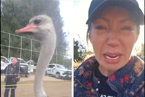 Canadian Ostrich Kill Order Protesters Arrested, Tensions Heighten, on Video