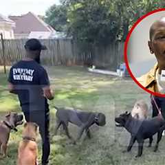 Tyrese Gibson's Dogs Run Around Friend's Backyard in New Video