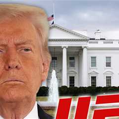 UFC Fights At White House Going Down June 14, President Trump Announces