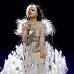 Björk Makes Urgent Plea For Release of Childhood Friend Detained by Israeli Army After Seizure of..