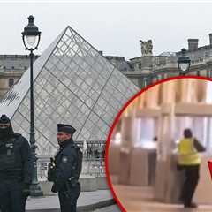 Shocking Video Shows Robber Sawing Through Glass Case During Louvre Heist