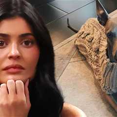 Kylie Jenner Announces Her Beloved Dog Norman Has Died