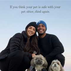 HGTV Couple Claims Pet-Sitter Covered Up Pooch's Brutal Death by Bigger Dog