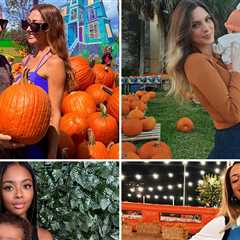 Celebrity Pumpkin Photos 2025 ... It's A Gourd Ole' Time!