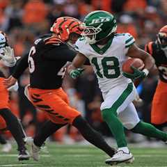 Jets’ Isaiah Williams enjoying ‘redemption story’ after  tumultuous month