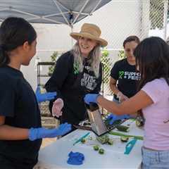 How Maggie Baird, Billie Eilish and FINNEAS’ Mom, Is Propelling The Music Industry’s..