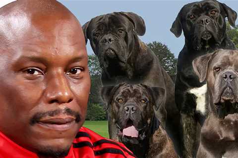 Tyrese: Cops Don't Know Where His Killer Dogs Are
