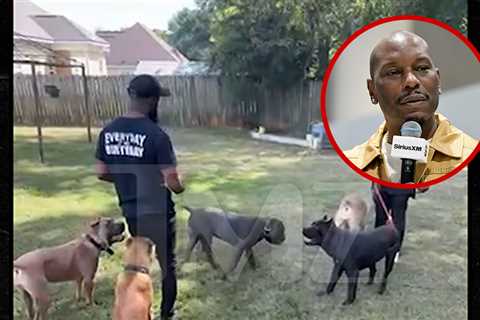 Tyrese Gibson's Dogs Run Around Friend's Backyard in New Video