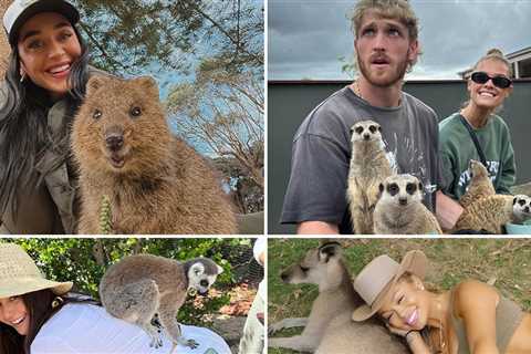 Wildin' Out Celebs With Exotic Animals for World Animal Day!