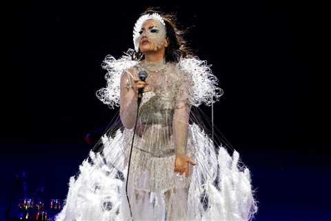 Björk Makes Urgent Plea For Release of Childhood Friend Detained by Israeli Army After Seizure of..