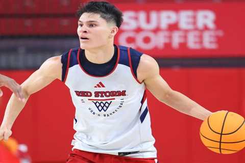 Dylan Darling is the unheralded ‘pit bull’ who could turn into the steal of St. John’s hyped..