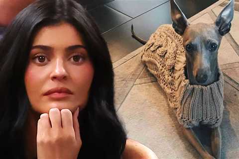 Kylie Jenner Announces Her Beloved Dog Norman Has Died