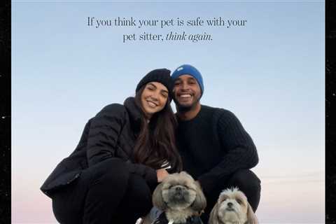 HGTV Couple Claims Pet-Sitter Covered Up Pooch's Brutal Death by Bigger Dog