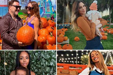 Celebrity Pumpkin Photos 2025 ... It's A Gourd Ole' Time!