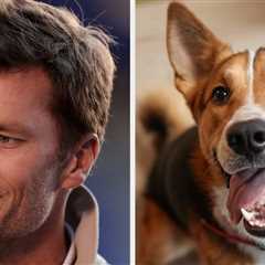 Tom Brady Revealed That He Cloned His Family Dog