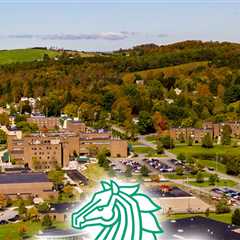 Man Shot In Neck at New York State University, Campus on Lockdown