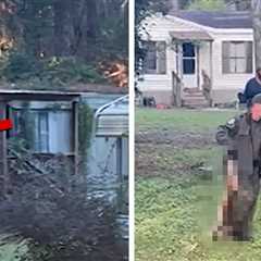 Watch Moment Mississippi Mom Shoots Escaped Monkey Dead, on Video