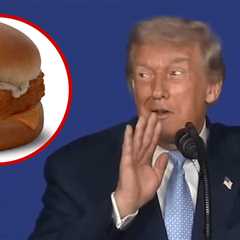 Donald Trump Reveals His Favorite Dish at McDonald's Is Filet-O-Fish