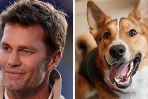 Tom Brady Revealed That He Cloned His Family Dog