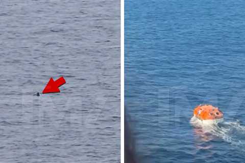 Carnival Cruise Passenger Goes Overboard Off Mexican Coastline