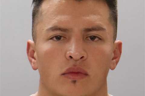 Vanderbilt quarterback Diego Pavia’s brother arrested for public intoxication during game for..