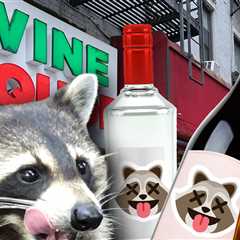 Viral 'Drunk Raccoon' Liquor Store Releases Three Cocktails