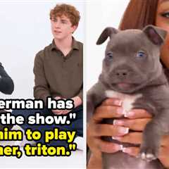 Percy Jackson Stars Walker Scobell, Leah Sava Jeffries, And Aryan Simhadri Play With Puppies While..