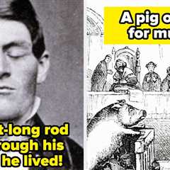 28 Of The Most Ridiculously Interesting History Facts I Shared In 2025