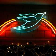 How The Bluebird Café — an 86-Seat Room in a Strip Mall — Became Country’s Proving Ground