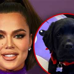 Khloé Kardashian Gets Family Puppy for Christmas