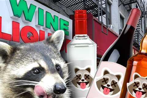 Viral 'Drunk Raccoon' Liquor Store Releases Three Cocktails