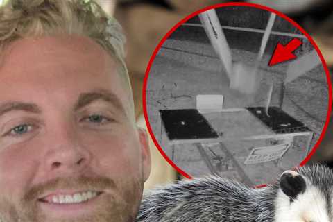 Content Creator Charles Ross Under Investigation For Opossum Catapult Video