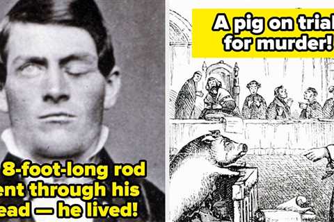 28 Of The Most Ridiculously Interesting History Facts I Shared In 2025