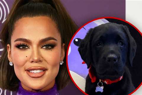 Khloé Kardashian Gets Family Puppy for Christmas