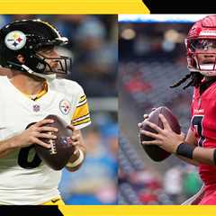 How much are the cheapest tickets for the Steelers-Texans Wild Card game?