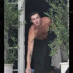 Shawn Mendes Grabs Food Delivery With Just a Towel On, See Pics