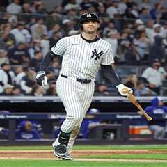 Austin Wells has concerning reply to Cody Bellinger’s Instagram post as Yankees fans plead for free ..