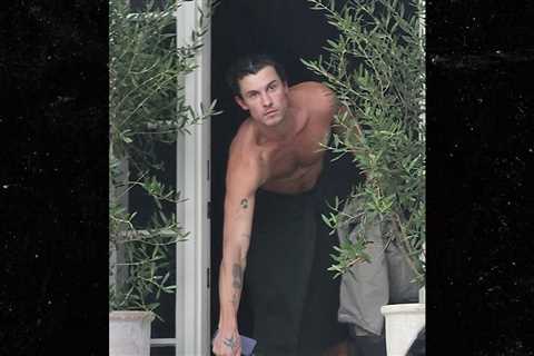 Shawn Mendes Grabs Food Delivery With Just a Towel On, See Pics